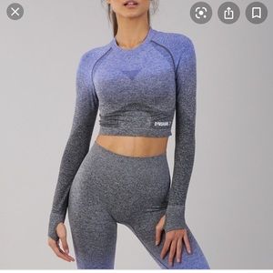 Gymshark Ombré Seamless Long Sleeve Crop Top